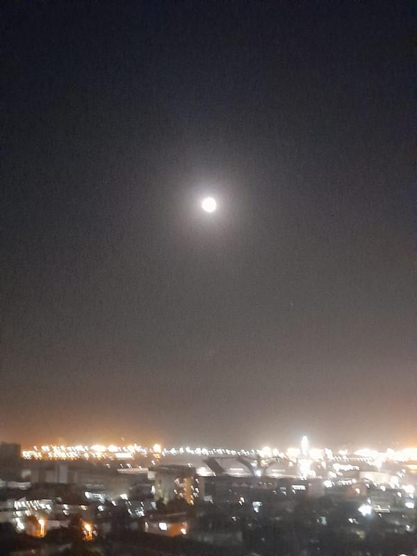 2 Bedroom Property for Sale in Berea Eastern Cape